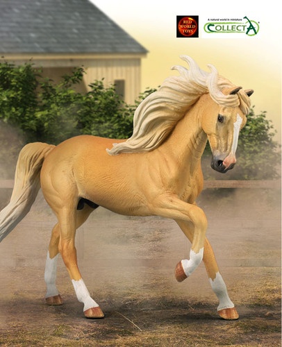 Andalusian palomino stallion - palomino,