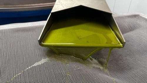 Olio extravergine oliva - olio, di