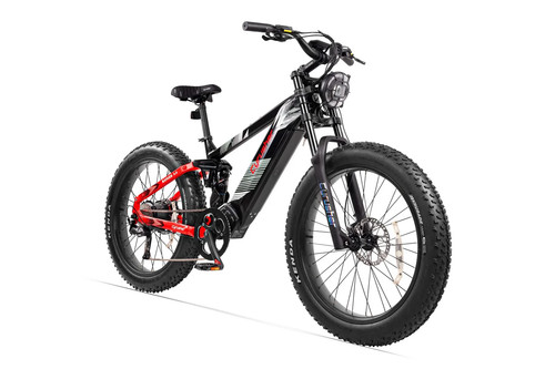 Cyrusher bicicletta elettrica - bicicletta,