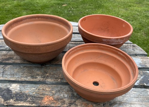 Ciotole bulbo terracotta