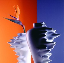 Vaso Fast Rosenthal in