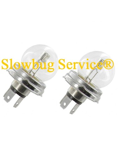 Maggiolino beetle 2x - beetle,
