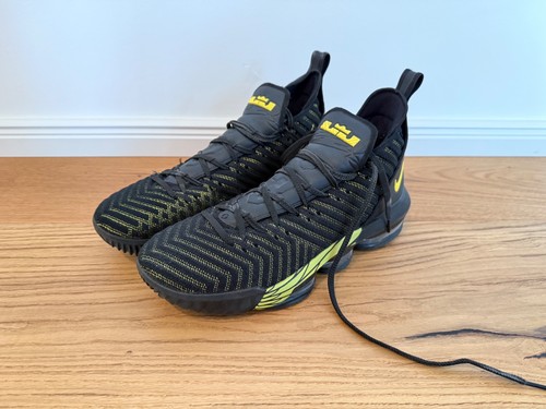 Nike lebron oregon pe - 16,