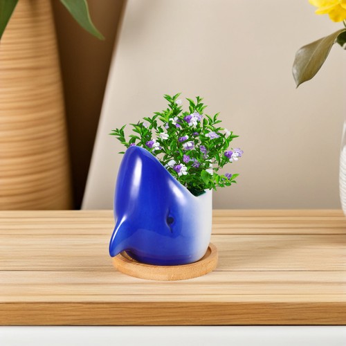 Vasi per piantine grasse vaso - ,