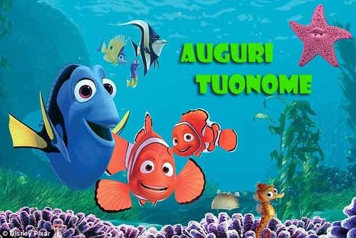 Cialda ricerca dory - ricerca, nemo