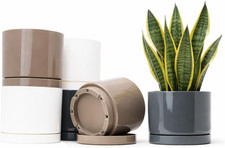 Vasi Decorativi Interno