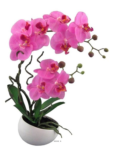 Orchidée factice 2hampes