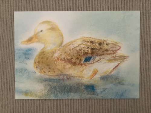 Cartolina anatra uccellino - 1,