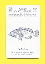 Carte - Camouflage - Le mérou