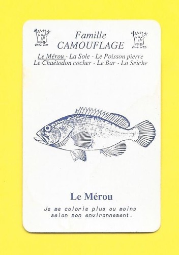 Carte camouflage le - -,