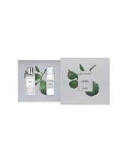 Angel schlesser instant - schlesser,