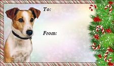 Etichette natalizie per cani