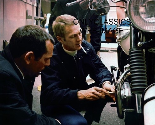 Steve mcqueen triumph - steve,