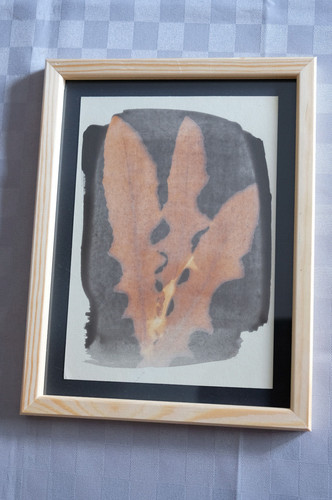 Bellissimo quadro botanico - quadro,