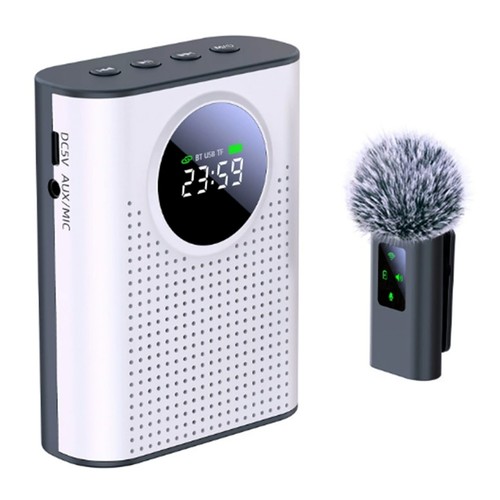 Amplificatore vocale microfono - vocale,