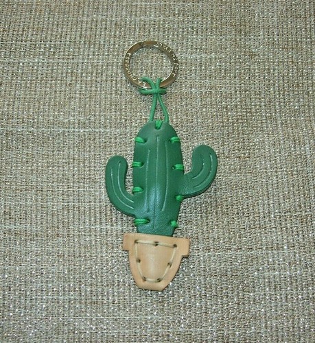 Cactus portachiavi - cactus,