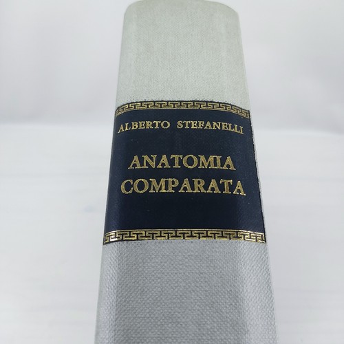 Alberto stefanelli anatomia - alberto,