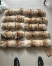 Pelliccia di coyote d'oca