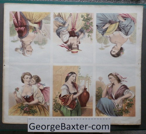 Grande foglio stampe - -,