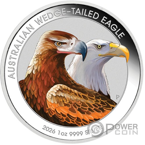 Australian wedge tailed - australian, wedge-tailed