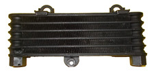 Radiatore Olio Cagiva Raptor V-Raptor 1000 Suzuki TL 1000 usato ottime condizion