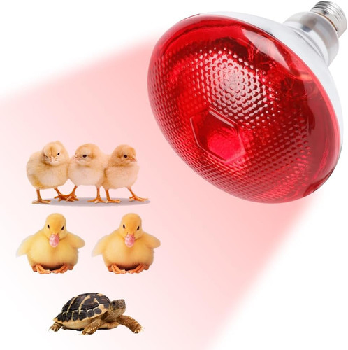 Lampada infrarossi - lampada,