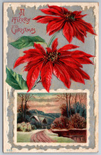 Buon Natale, Poinsettia, scena