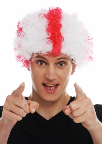 Parrucca carnevale afro - parrucca,