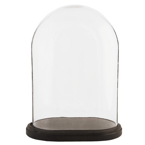 Espositore vetro cloche - espositore,