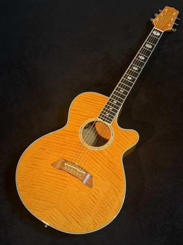 Takamine npt 115 - takamine, npt-115