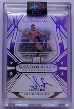 Panini Flawless WWE 2024