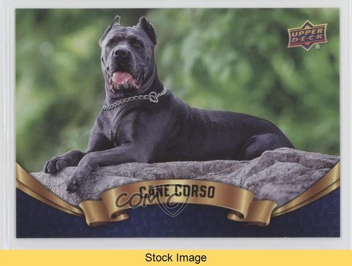 2018 upper deck canine - deck,