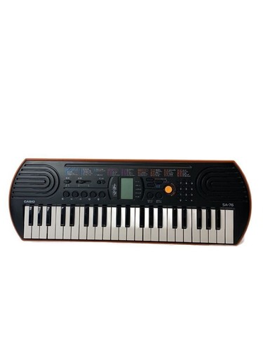 Casio electronic piano - casio,