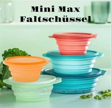 Tupperware Mini Max Ciotola