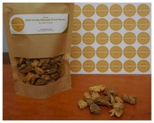 Wild Orchis Mascula radici