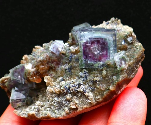 112 fantasma viola - 112,8,