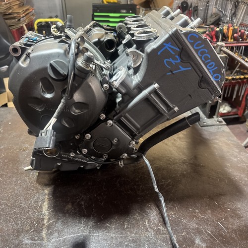 Motore garantito yamaha fz1 - garantito, fz