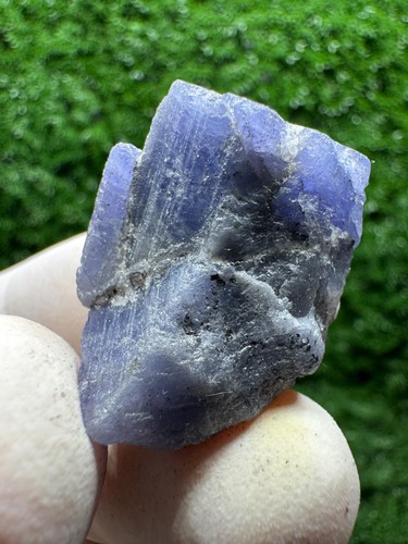 Unico cristallo tanzanite - tanzanite, con