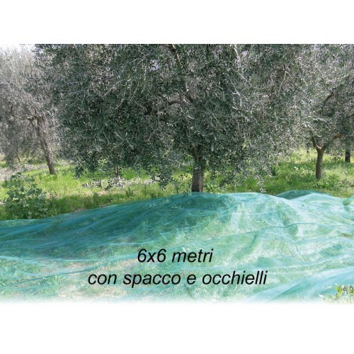 Rete per raccolta - per, 6x6