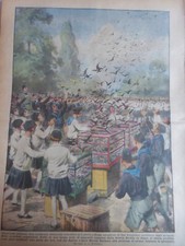 1872 1918 PICCOLI PICCIONI