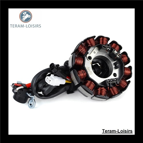 Stator allumage pour gas - stator,