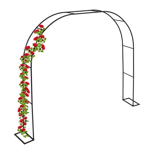 Arco rose rampicanti hlp - rose,