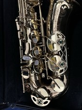 Selmer USA AS 110 Alto