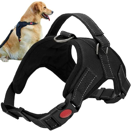 Pettorina imbracatura per - pettorina,