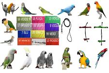 Pettorina elastica pappagalli CALOPSITE attacchi PLASTICA RAPIDI REGOLABILI