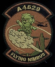 USAF A4529 Flying Nimbus 31°
