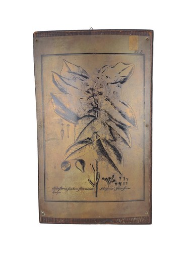 Quadro con matrice serigrafica - matrice,