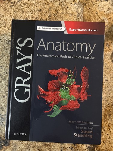 Gray anatomy the - the, anatomical