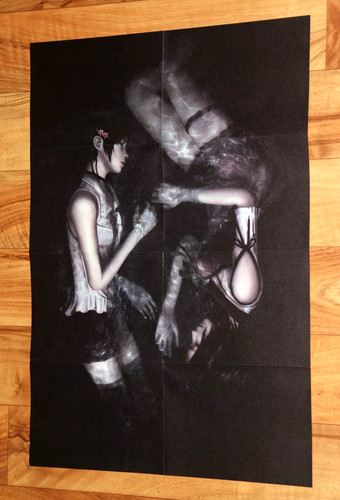 Fatal frame maiden - frame,