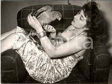 1955 ROMA Attrice Gianna